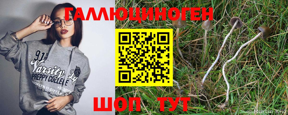 Галлюциногенные грибы GOLDEN TEACHER  Вход с VPN  закладка  Ростов Великий 